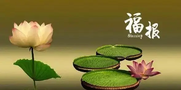 流產(chǎn)的孩子怎么化解，怨念消除才能夠安心-音狐運勢網(wǎng)