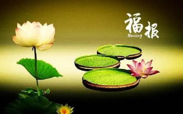 很多年之前流產(chǎn)的嬰兒，通過超度能化解嗎？超度墮胎嬰兒有用嗎？-音狐運(yùn)勢(shì)網(wǎng)
