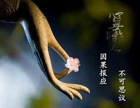 怎么化解墮胎嬰兒怨氣-音狐運(yùn)勢(shì)網(wǎng)