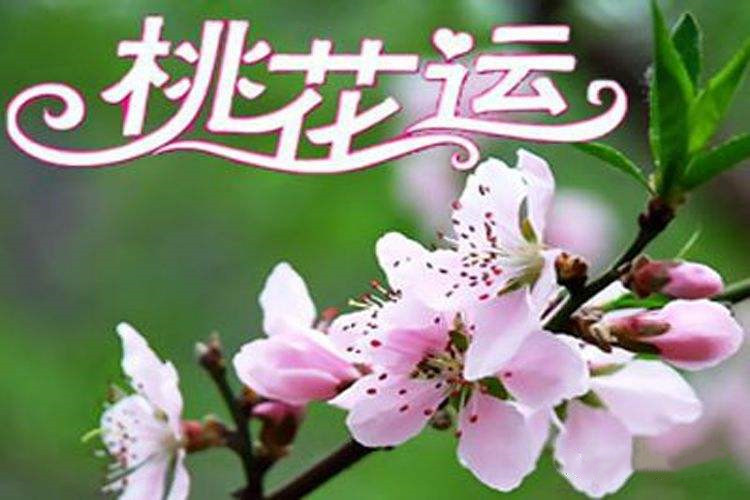 “桃花運(yùn)”：幾人歡喜？幾人憂愁？-音狐運(yùn)勢(shì)網(wǎng)