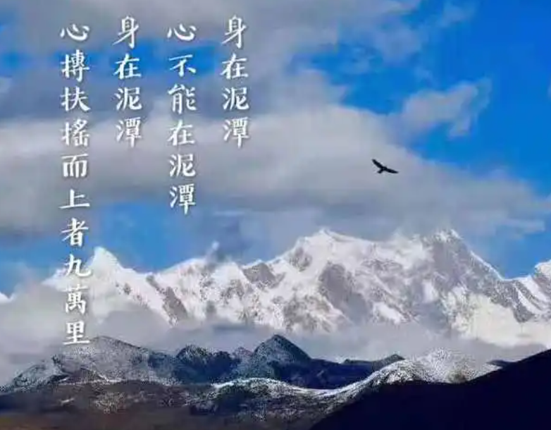 普陀山可以超度嬰靈嗎-音狐運(yùn)勢(shì)網(wǎng)